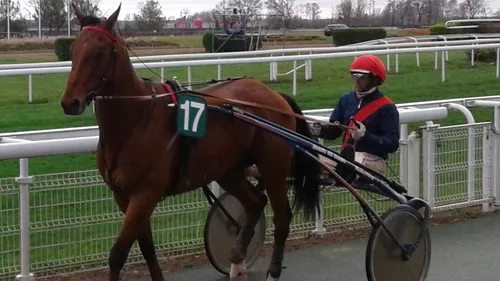 Hippisme : nos préférés pour ce samedi 16 avril